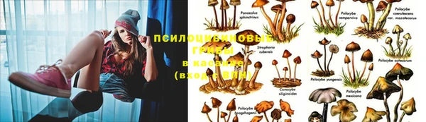 экстази Бородино