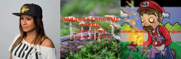 гашик Бугульма