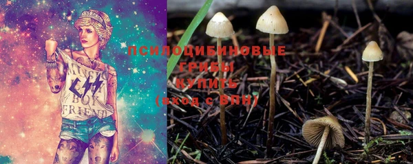 экстази Бородино