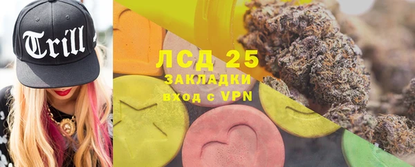 экстази Бородино