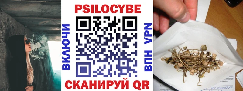 Галлюциногенные грибы Cubensis  даркнет официальный сайт  Гудермес 